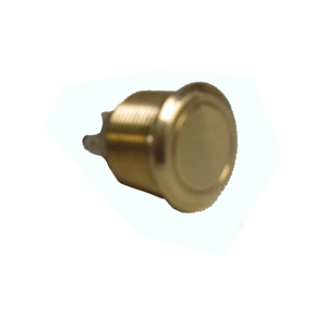 AV/T19B SRS       brass polished 19mm                     button